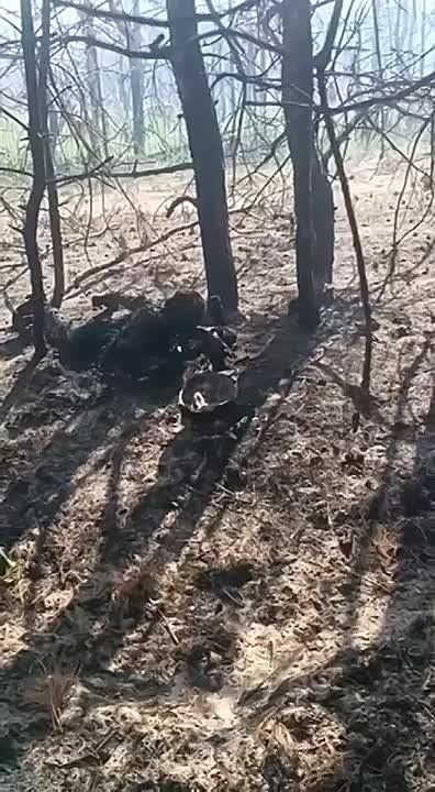 ��� 200. ��������-����� ���������� �������