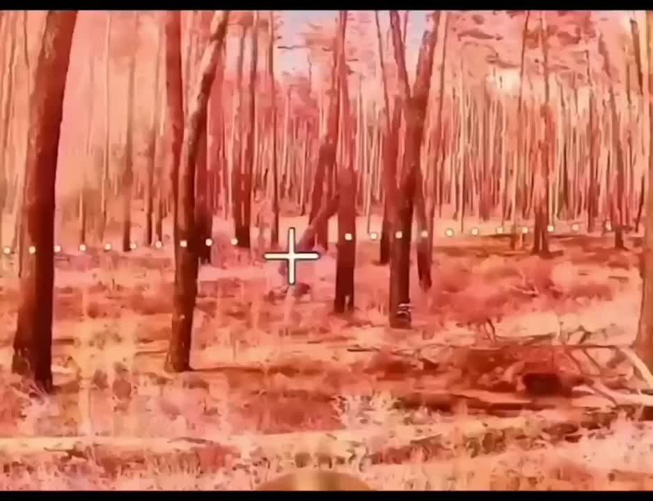 ����� � �� ���������.. ��������-����� ���������� �������