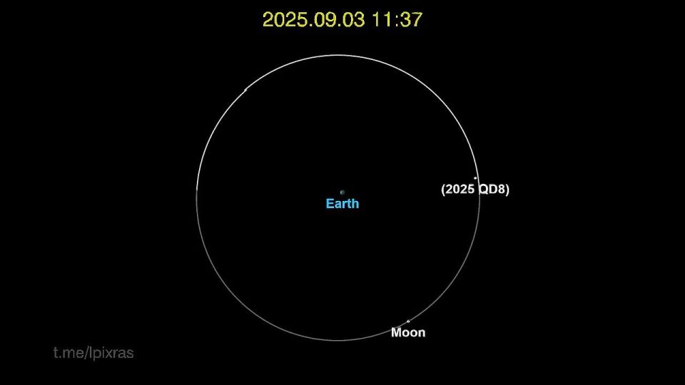 �������� �������� � ����������� �������� �������� ������ ������ ������