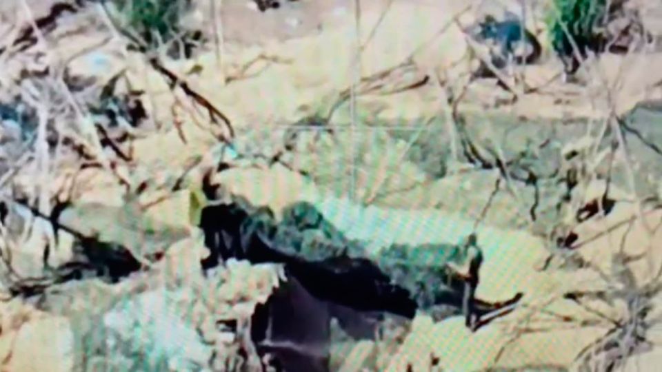 ���� ����������� ������ ���������� ������ �777 � ������ ������ ���