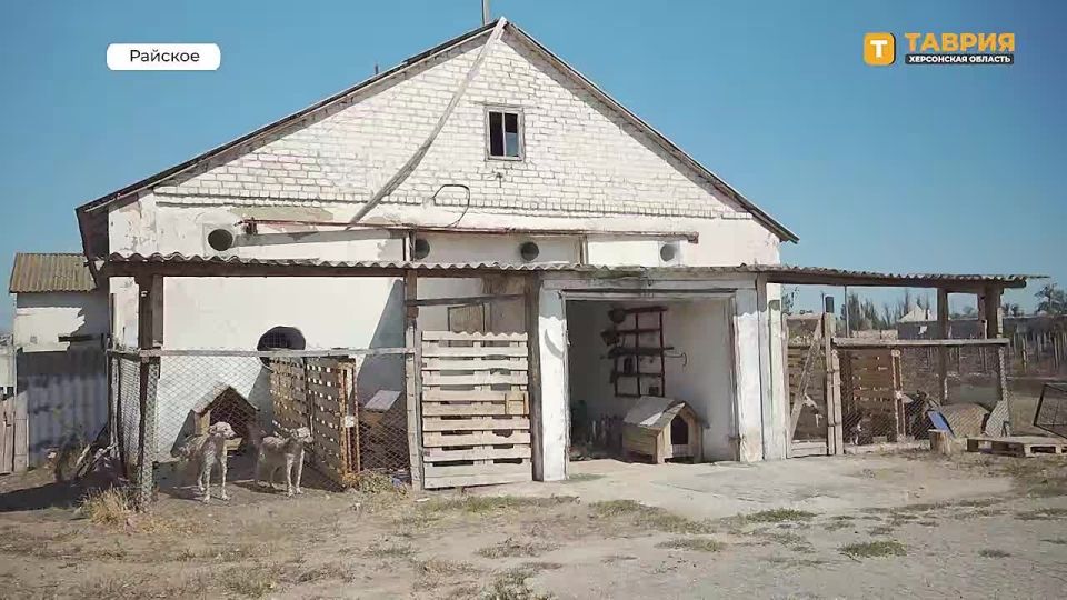 ������������ ����� "������������" � ���� ������� ��������� �� ������, ���������� ��������� ��� � �������� �������