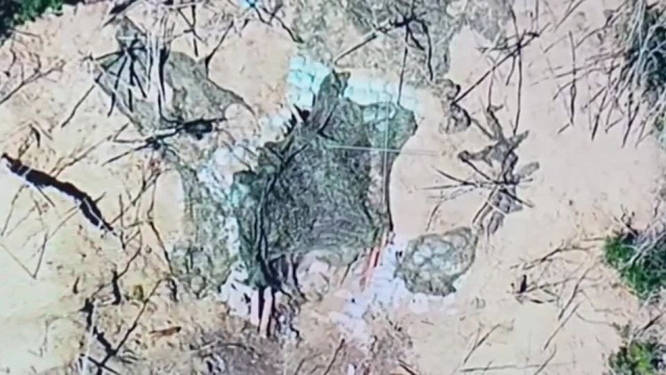 �������� ������: ���������� ������������ �������