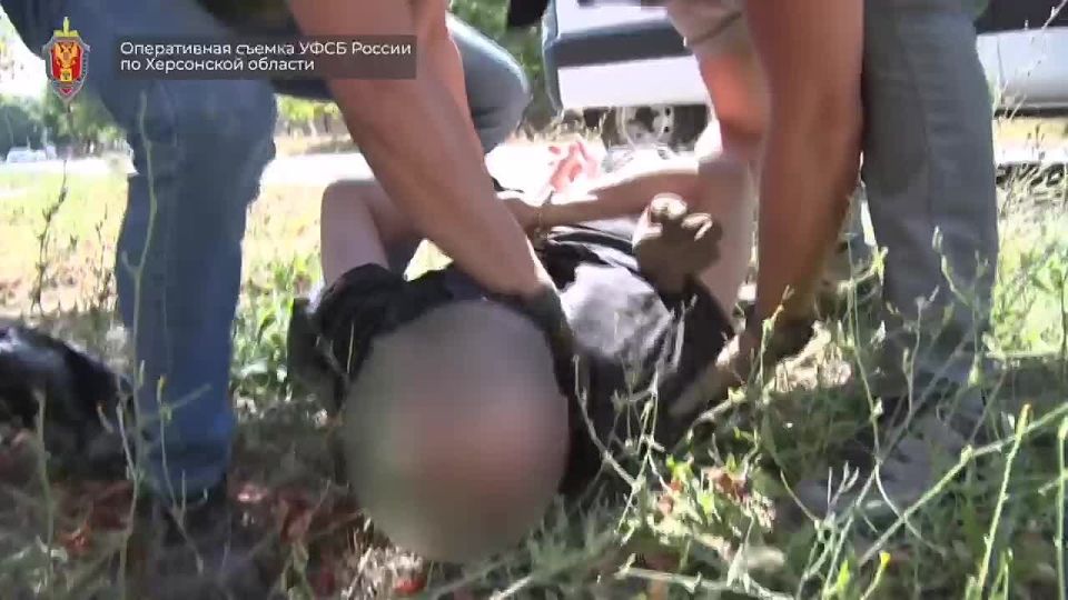 ��� ������: ��� �������� ������������ ��������� � ���������� �������