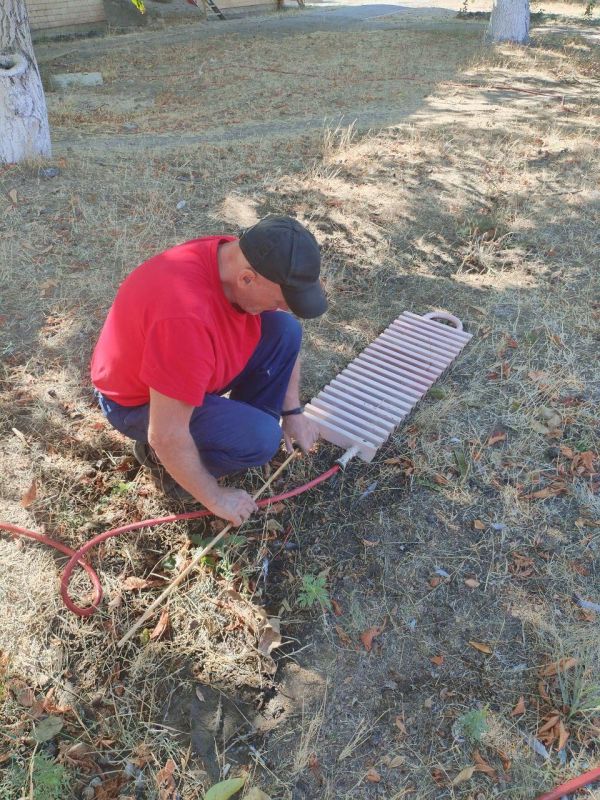 ������� ���������� ������������� ������� ��������� � ����������� ������� ����