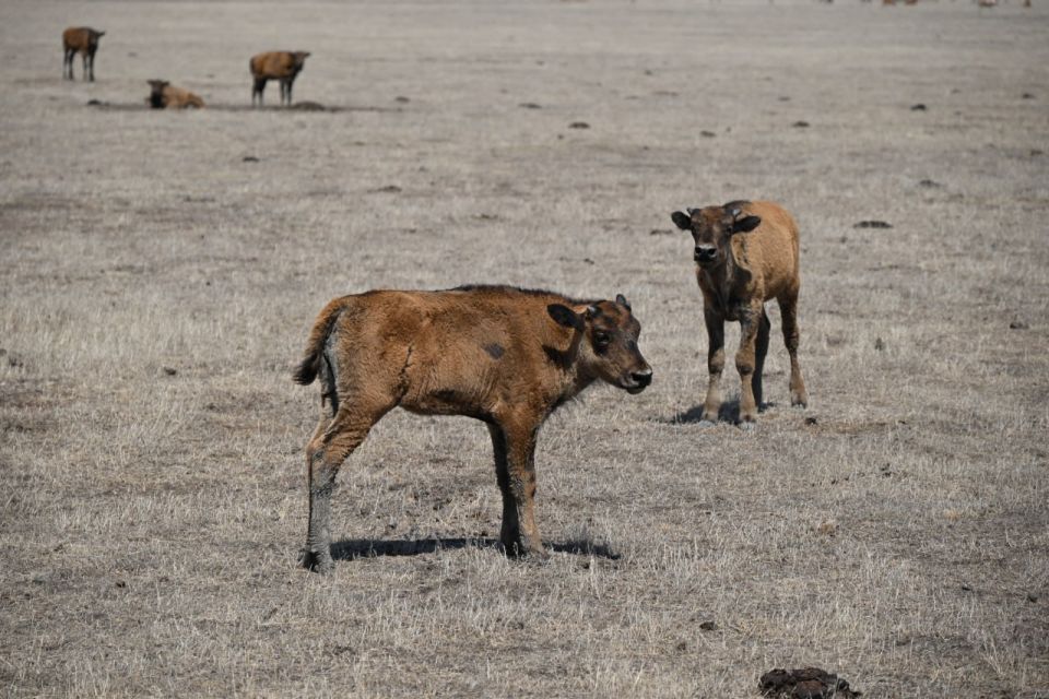 � ����������� "�������-����" � 2025 ���� �������� 30 ��������� ������������� ������