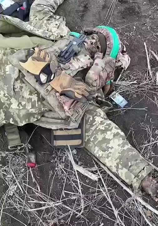 ��� 200. ��������-����� ���������� �������