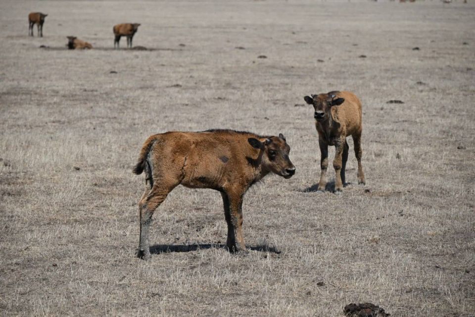 � ����������� "�������-����" ��������� ������� ����� � ��� ������� ������������� ������� ���������� ����� ��������� ����