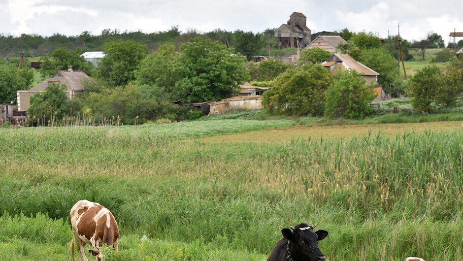 �� ����� ���: ������ ��������� � ���������� ��������� � ������� ���������� �������