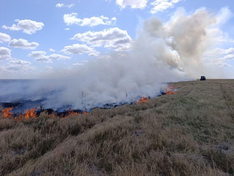 ������ ������ � ���������� �������