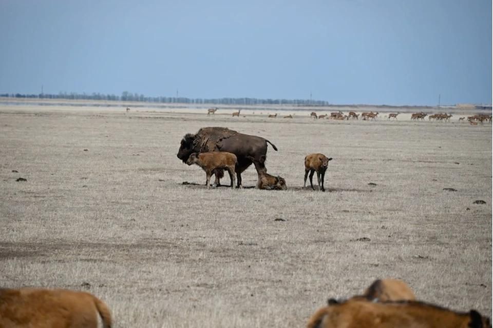 � 2025 ���� � ��������-���� �������� 30 ��������� ������������� ������