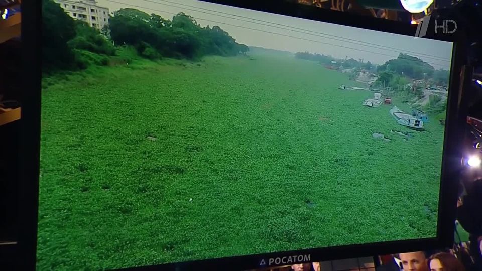 ����? ���? �����?� 4 �������� ������� 50-�����