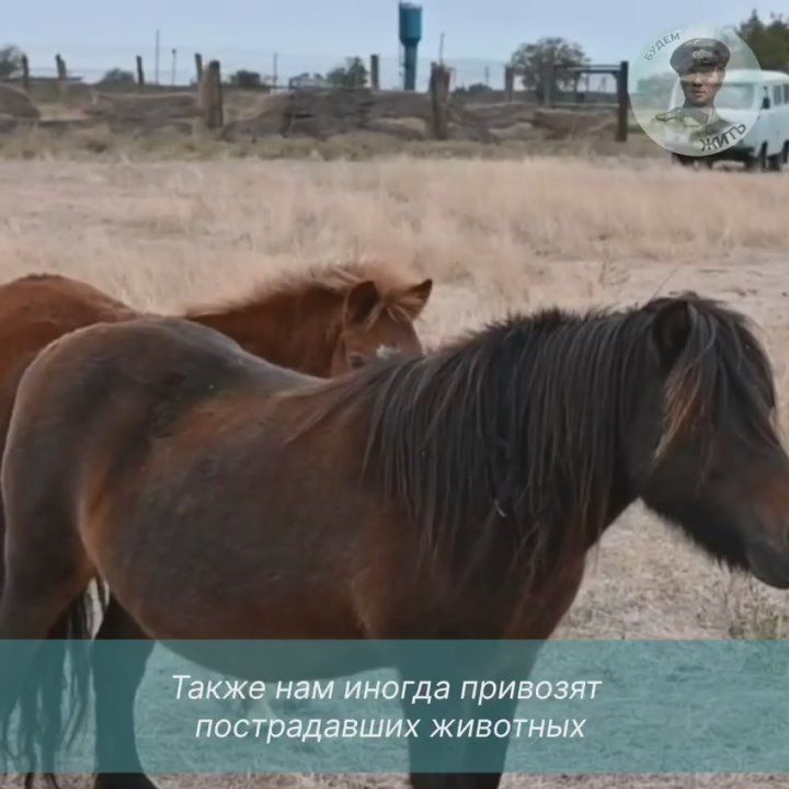 ��������-���� � ��������, ������� ���������� �������