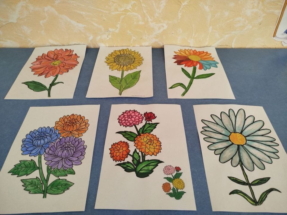 ������� � ��������� �� ������ �������� ������� �������� "������� �����"