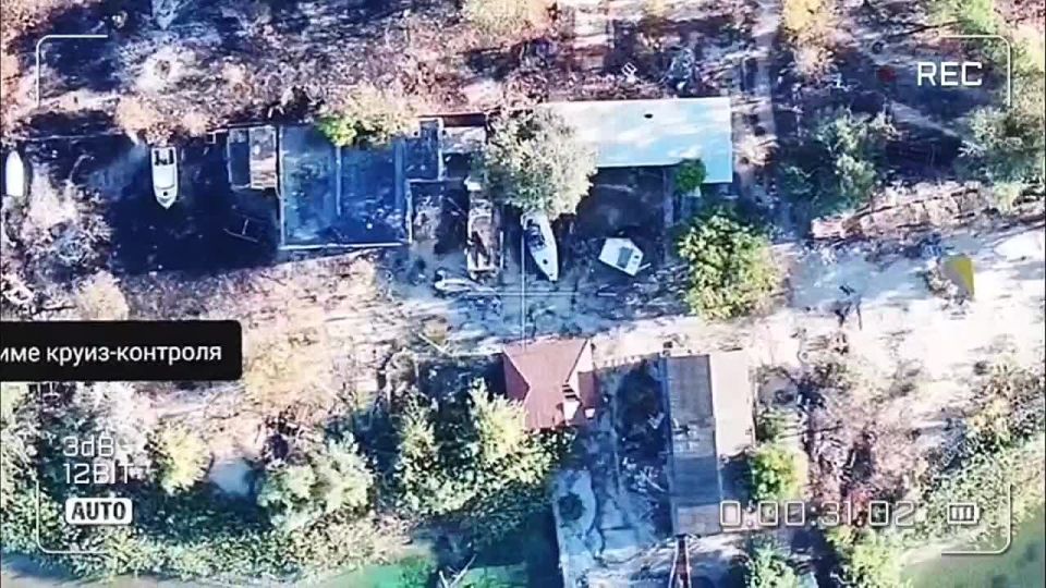 ������. �. �����������