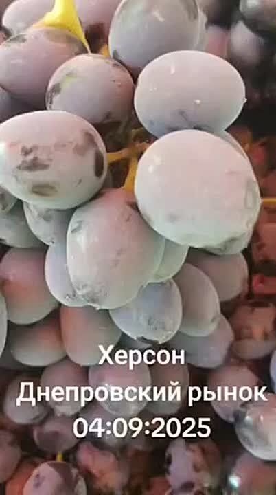 ������. ����������� �����: ����� ���, ����� � ������ � ������������