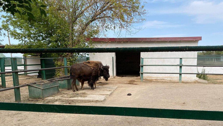 ���������� ��������-���� ������ �� ��������� ������������� �������