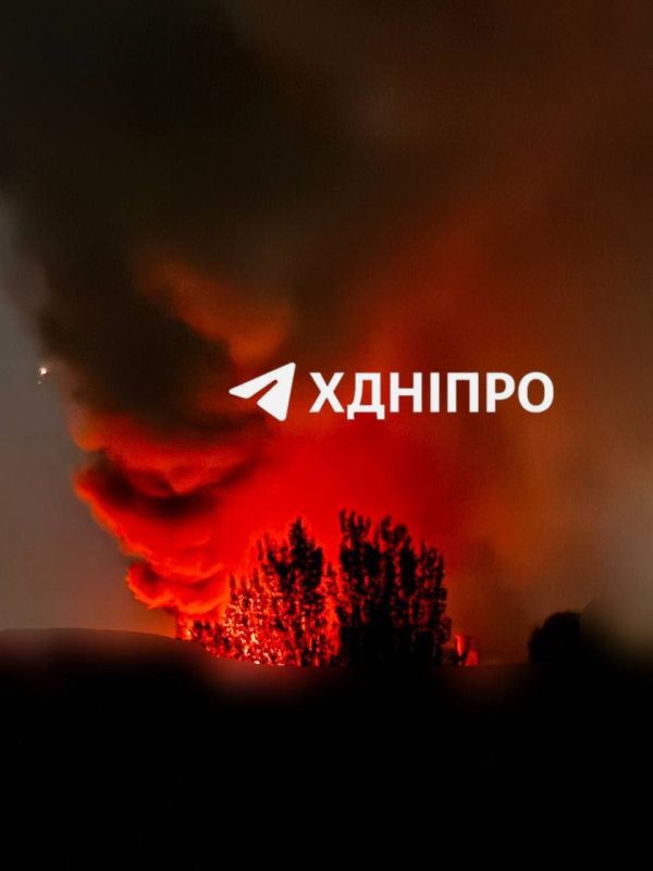  :      04  - 05  2025 