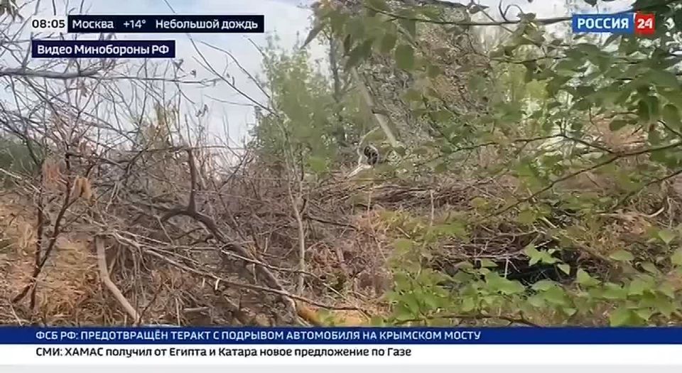 �� ���������� ����������� ������������ ����������� ������ ������� ���� �� ���������������� ����������� ���