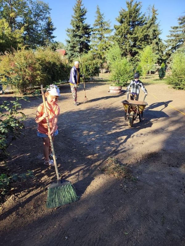 ������ ������� �����: ������������ ���� � ��������������� �������