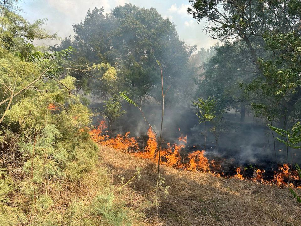 � ����� ���������������� ������ �� ���� ������������� 163 ���������� �� ����� ������� 2550,54 ��. 12 ���������� ������� � ������� �����