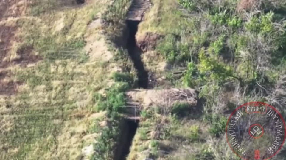 ����������� ����� ���� ���������� � ���������� 4 �����