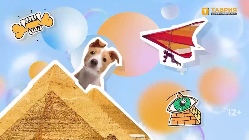 "���������� ����" � �������� ������������ �������� �� ����� ����