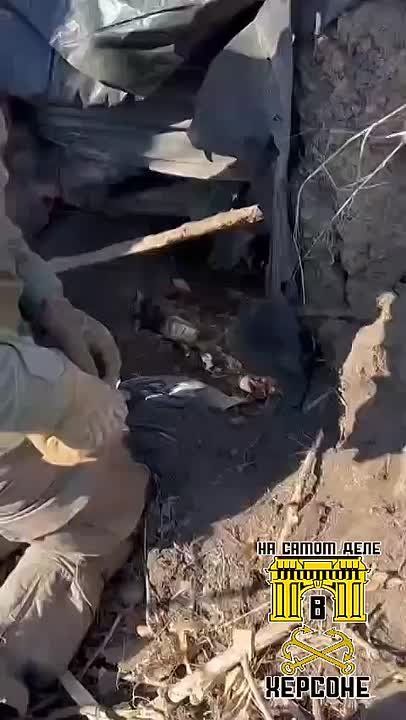 "������ ��������, ��� ������!" - ���������� ����� �� ����� �������������� ����� ���������� ������ �������� ������