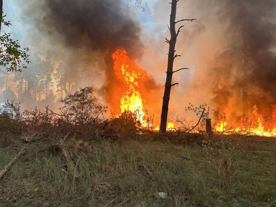 ������������� ������ � ���������� �������: ����� ����