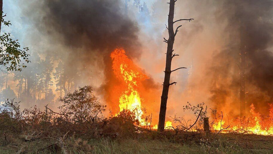 � ���������� ������� �� ���� ������������� 26 ������� �� ������� ����� 480 ��������