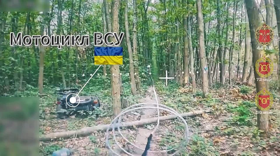 ��������� = ���������. ������� �������