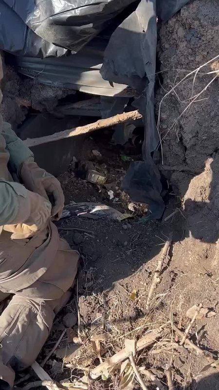 ������ ������ ��-��-��������!