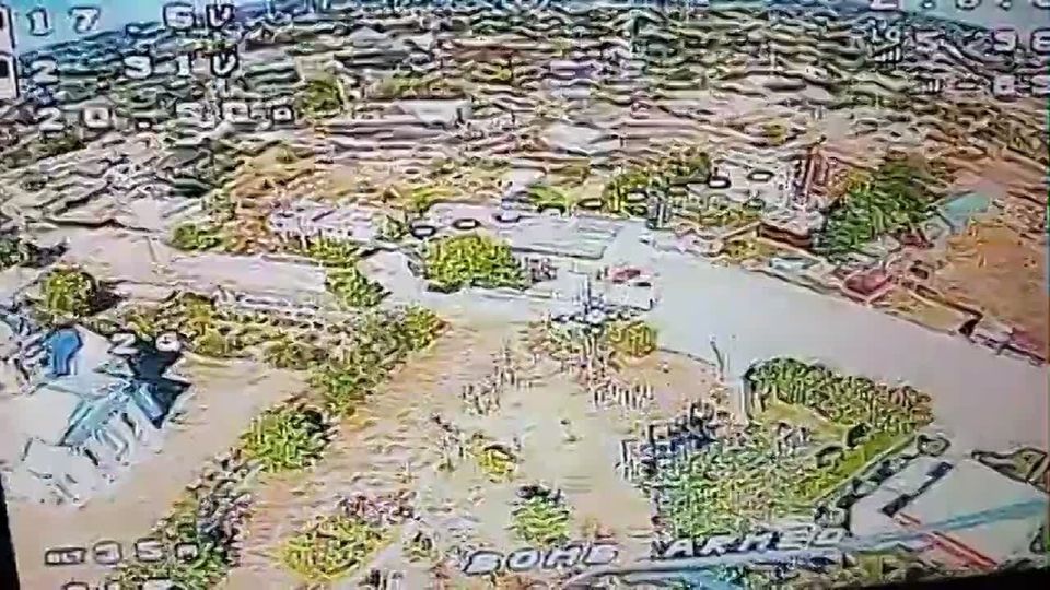 ����� ���������. ��� �����