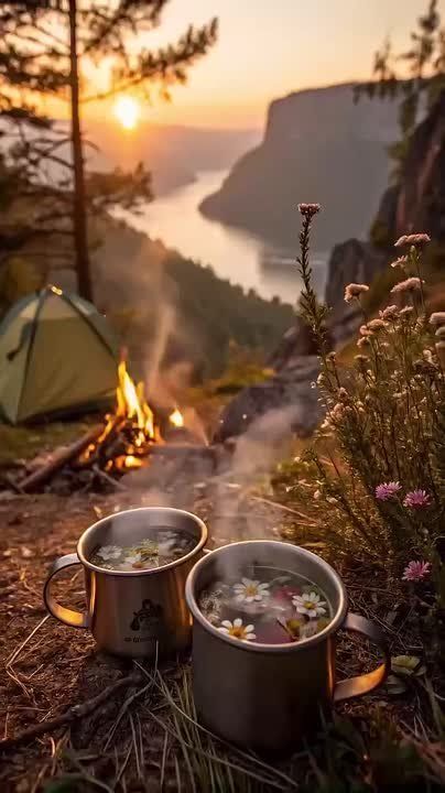 ���� �������� ������, ������!