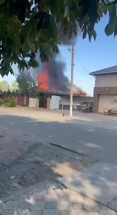 Владимир Рогов: Нацисты убили мирную женщину