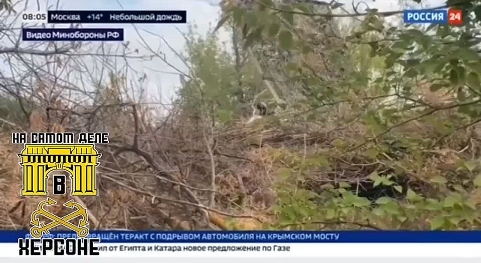 ���������� ����������� ������ �� ���������� ����������� ����� "���������" ������������ ���