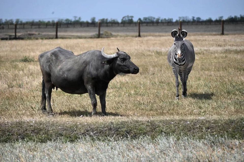 ����������� �� �����������: � �������-���� ���������� � ����� ������������ ���������