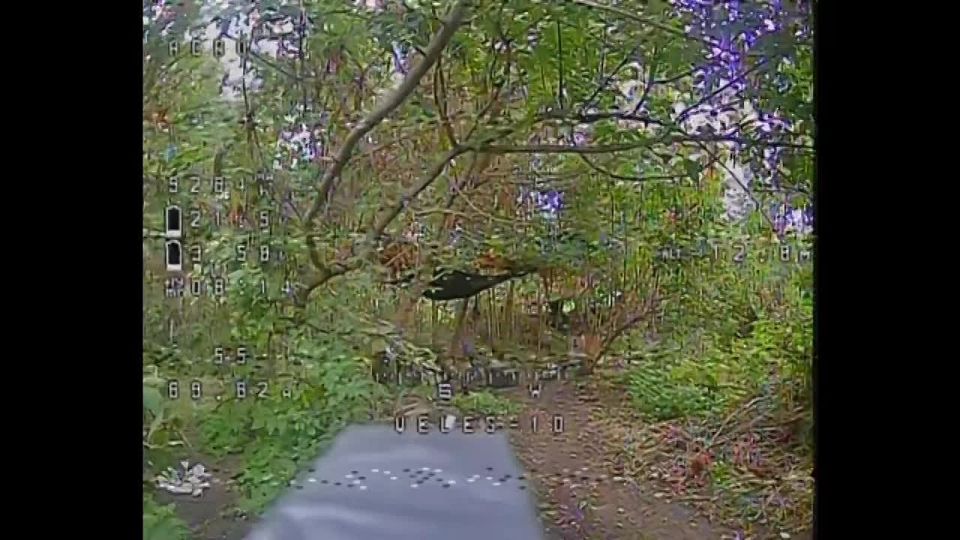 ����� �� ���������� �����, ��� ���������, �� �����