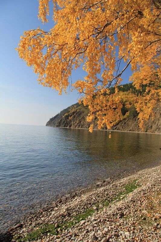 ���� ����������� ����� , ��������� ����� ������� . ���� ���� ��������� ����� , ������