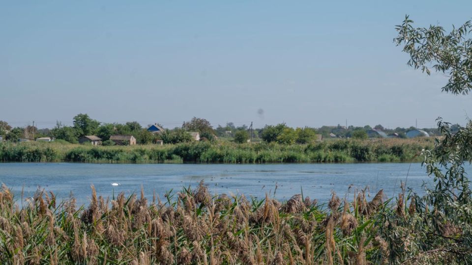 �������� ������: ����������: �������� ������� � ������������� �����