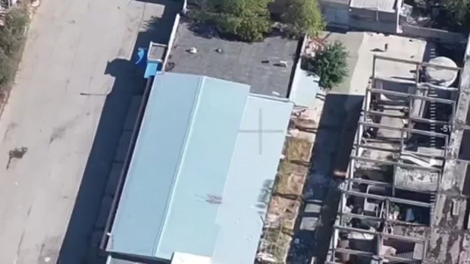 �������� ������: ����� ��� �������� ����������