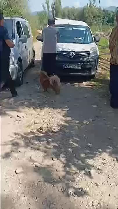 � ������������ ������� ������� ������ ��������� ������ � �� ������� ����������� ��� � ����