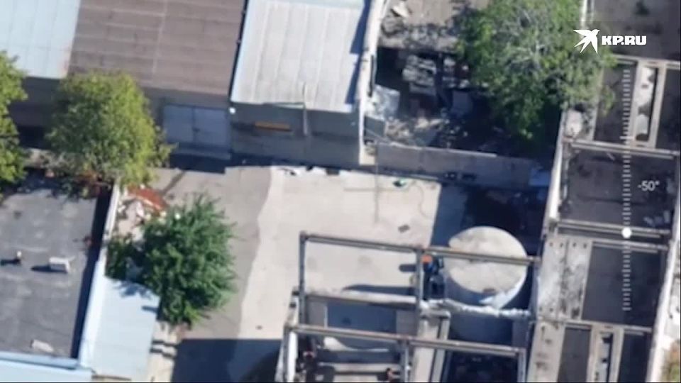 ���������� ���������� ���������� ������ ���������� ��� � �������