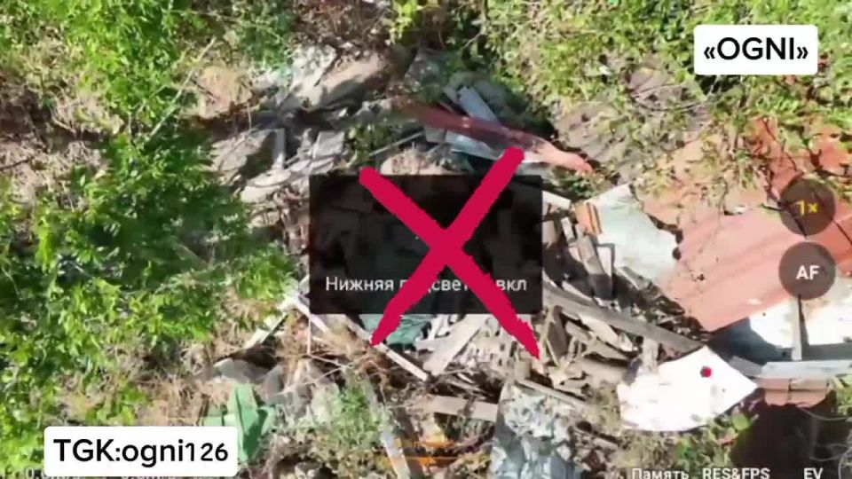 ���������� �����������. ��������