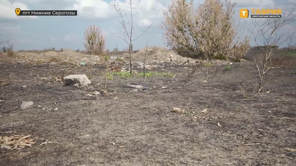 ����� ����������������� ������ �������� ������������� ������� ��������������