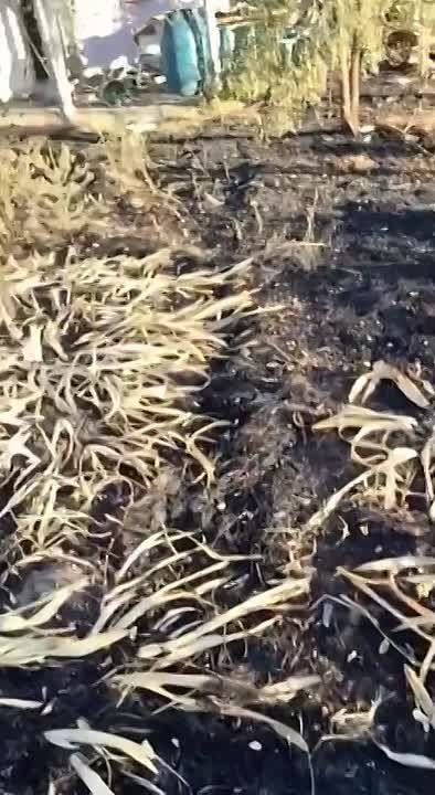 �������� �������