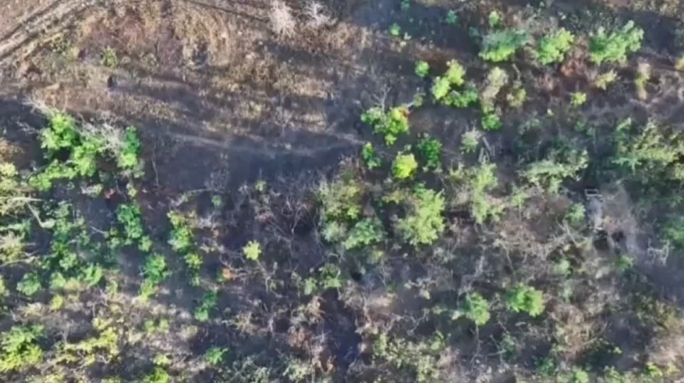 ����������� �����.. ������� ������ ������ ����� ���������� ��� ��������� �������� ���� � FPV ������������ ������� ��������� � ������������ ���������� ������ ����� ��������