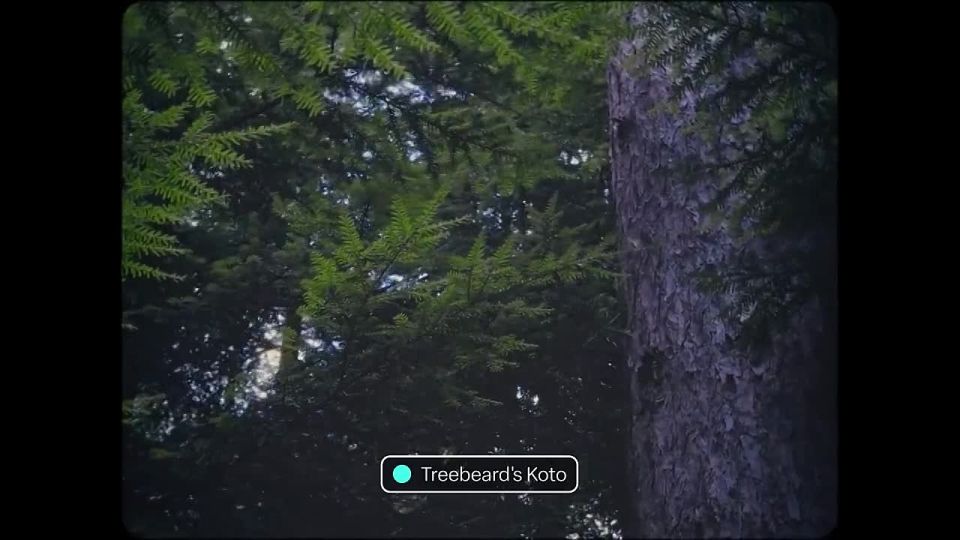 ��������� ������-������� � ����� ��� ������������� ������, �������� � ����� ����� �������