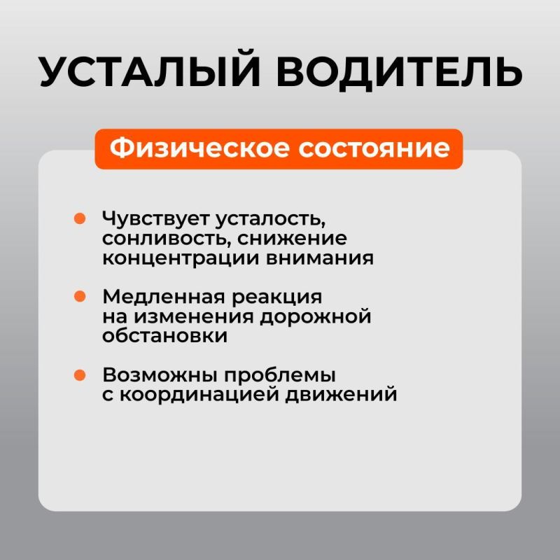 ������ ���� ������ � �����