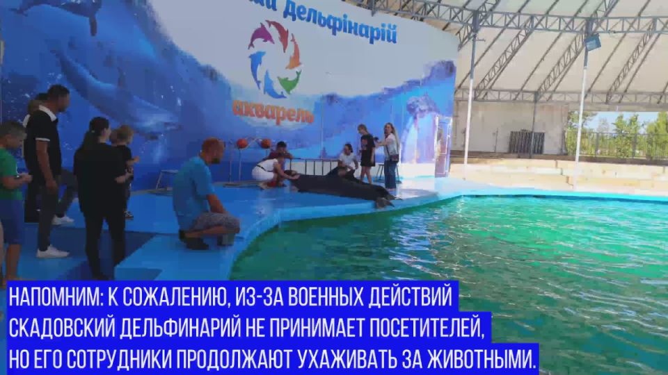 Скадовский дельфинарий посетили дети Скадовского МО
