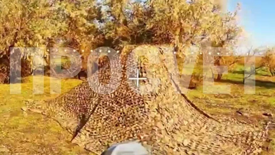 ���������� �����������. ��� "Rada", ������������� ���������� �����, ��� ������������